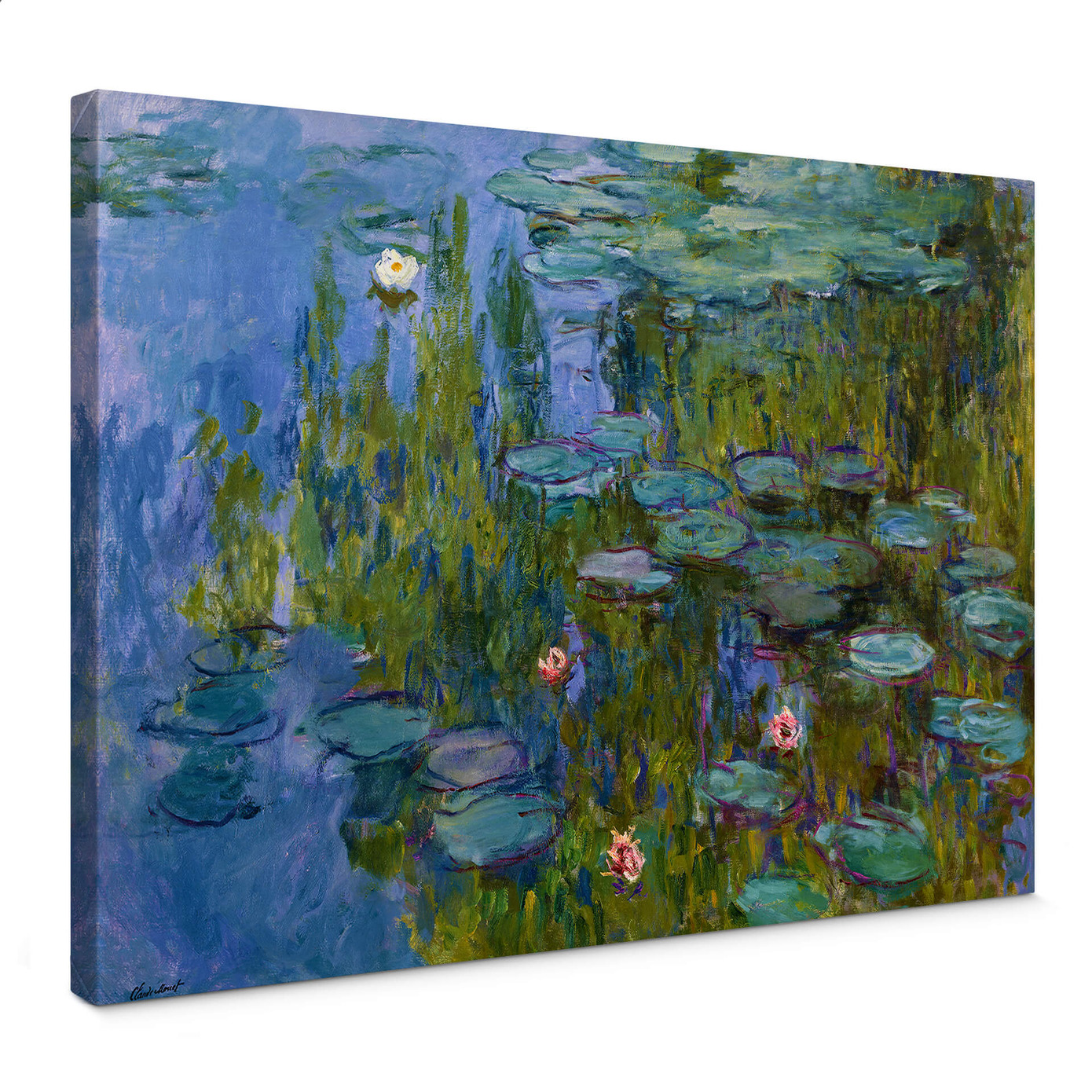 Ninfee | Claude Monet | Stampa D'arte
