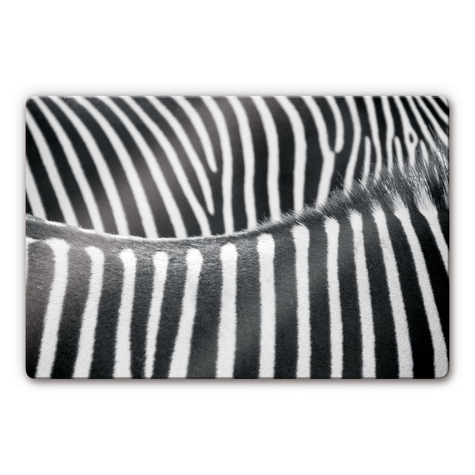 Zebra Print Glass art