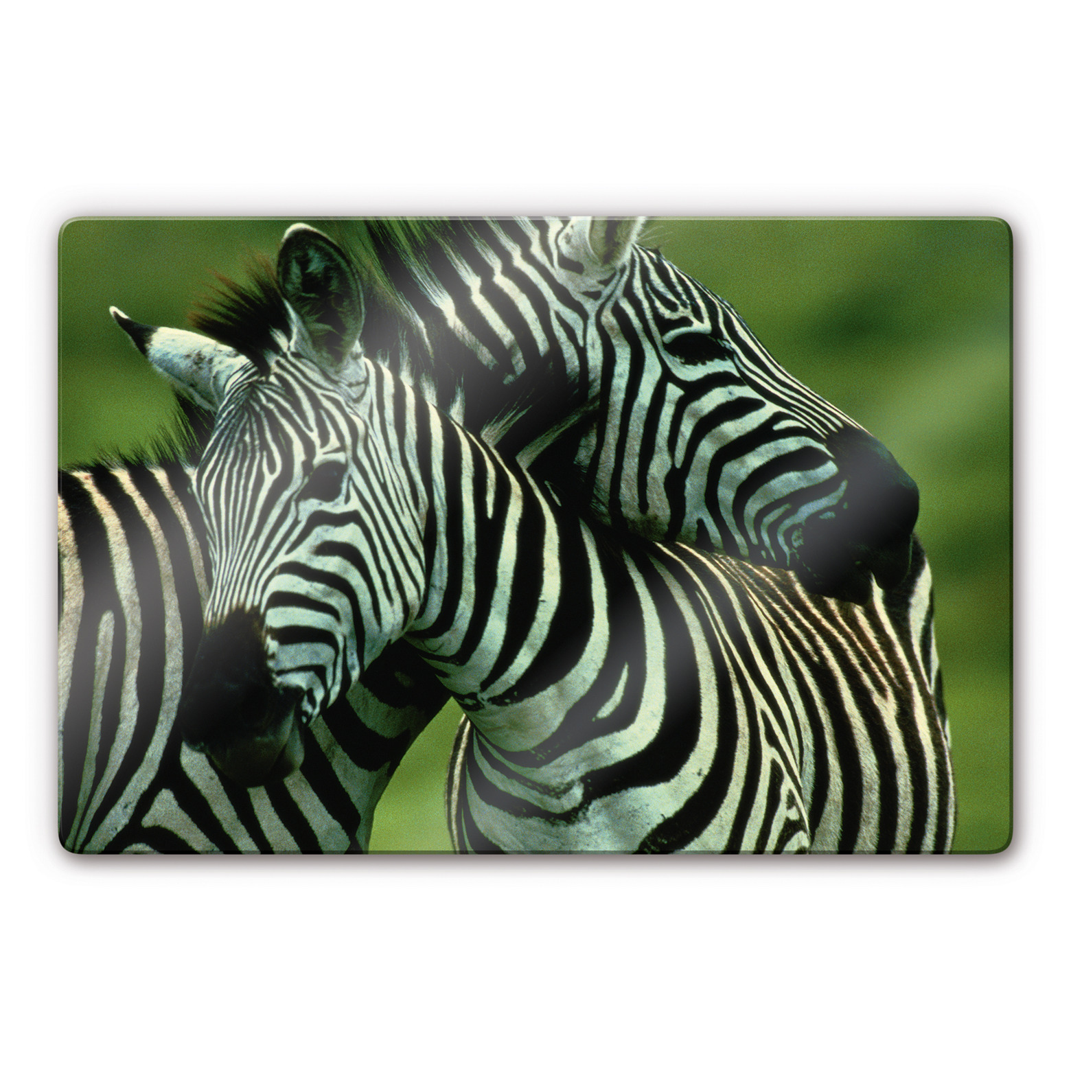 PLANCHE DE CUISINE En Verre Peinture à l'huile Couple Arbres Banc 80x52