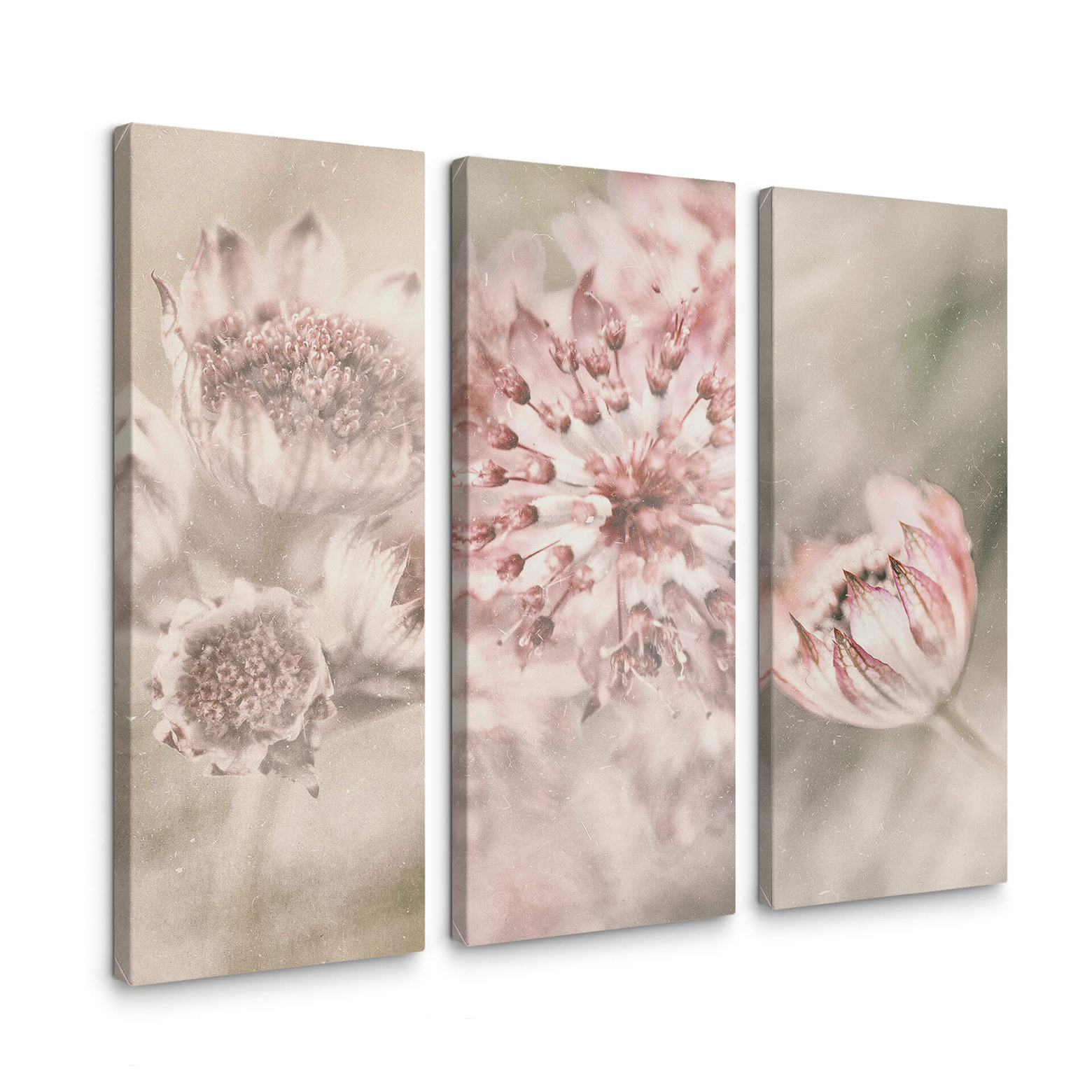 Canvas Prints Davidsson Wild Flowers (set of 3)