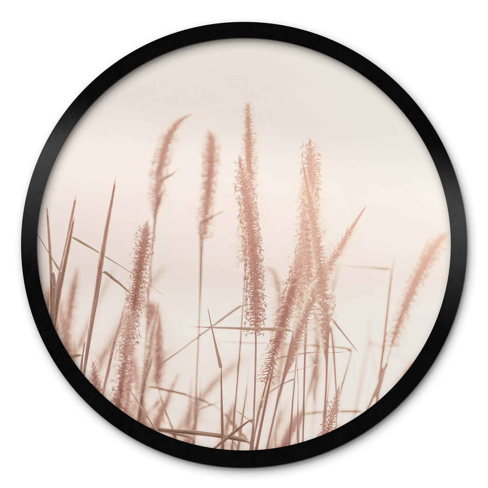 Plakat Grass at Sea | wall-art.dk
