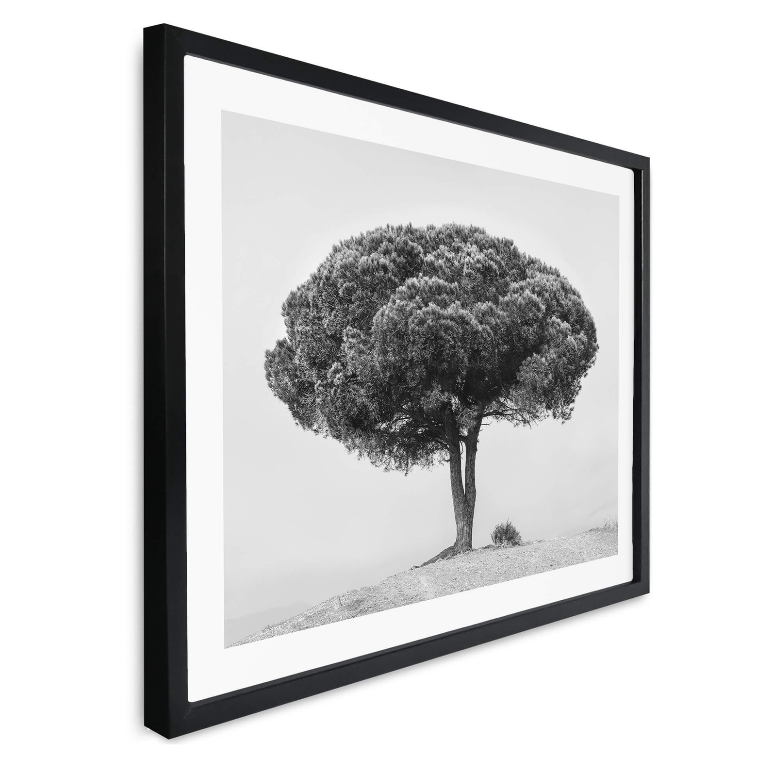 Poster ARTTOR 50x40cm – Arbre Noir Et Blanc, Nature, Décoration Murale
