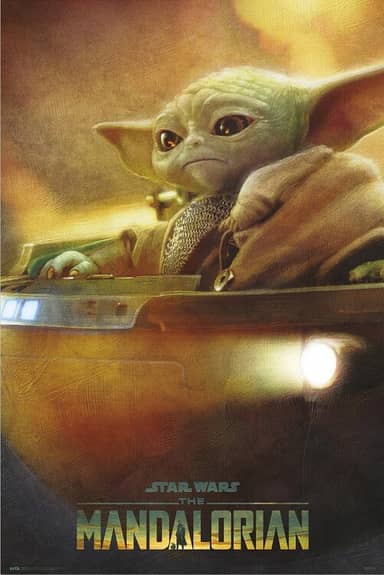 Poster, film poster Harry Potter - The Wand 61x91,5 cm