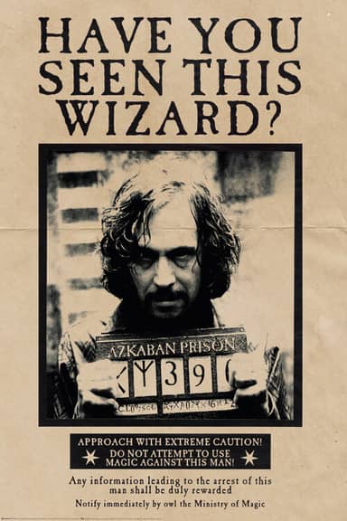 Poster De Cinéma Vintage – Harry Potter – Manifesto / Locandina – Fabriqué En Italie