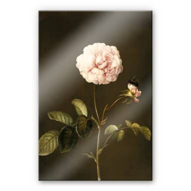 Tulup Tableau Sur Verre Trempé Image 100x50 - Roses