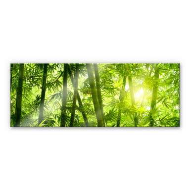 Quadro In Vetro Panoramico 100x40 Cm | Cascata Nella Foresta Verde | Stampa Su Vetro 4 Mm Con Distanziatori | Pixxprint Made In Germany