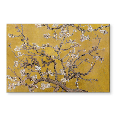 Papier peint Amandier en fleurs - V. van Gogh 350x245