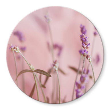 What Is A Votive Candles at Mildred Urban blog What Is A Votive Candles at Mildred Urban blog