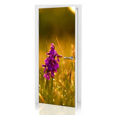 Adesivo Porta Carta Da Parati 3Dstruttura In Legno 90 X 210 Cm - Foto 7